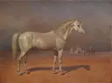 The Arab Stallion by James William Cole, 1893, oil on canvas, sold Jan 2025
