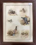 Gamebirds by Joe Constantine, 1944, watercolour, sold Jul 2025