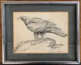Study of an Eagle by Roland Green, pencil, sold Jul 2025