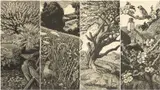Woodblock prints - set of four by Charles Frederick Tunnicliffe, 1933, print (other), sold Nov 2025