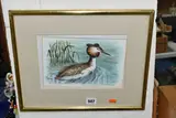 Great crested grebe by Ralph Waterhouse, watercolour on paper, sold Jun 2023