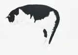 Cat sleeping Mixed media 42 by Ken Ersser, Mixed media, sold Dec 2022