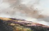 Grouse in flight over the moor Signed BERRISFORD HILL by Berrisford Hill, Oil on board, sold Dec 2022