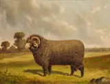 The Squire – a champion merino ram in a landscape, Mount Fyans by Frederick Woodhouse Snr, 1883, oil on canvas, sold Dec 2025