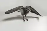 Decoy #2 by Michael Needham, 2020, bronze, glass and taxidermy eyes, sold Dec 2025