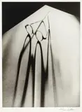 Glasses by Olive Cotton, 1937, printed 1995, silver gelatin photograph, sold May 2026