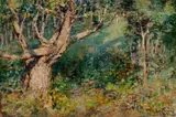 The Blackwood tree by Frederick McCubbin, 1911, oil on canvas on composition board, sold Apr 2026
