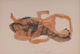 Femme étendue by Henri Laurens, Lithographie en couleurs, sold Jun 2025