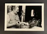La tétée du veau, Madame Demet, Ferme Miquelet, Labruguière, Tarn, mai 1992 by Sabine Weiss, Tirage argentique d'époque, portant le cachet humide de la photographe au dos de l'image, sold Jun 2025