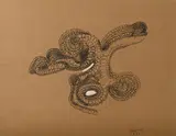 Sans titre by Bernard Réquichot, 1956, Encre rehaussée de gouache blanche sur papier teinté, sold Apr 2024
