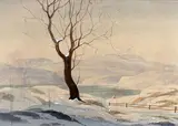 Sans titre - Arbre en hiver by Graham Noble Norwell, Aquarelle, sold Feb 2025