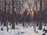 Winter Woodland Scene at Sunset, Arthabaska by Marc-Aurèle de Foy Suzor-Coté, 1913, oil on canvas, sold May 2024
