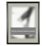Sex Parts (FS II.174) by Andy Warhol, Screenprint in black on HMP handmade paper, sold Jan 2026
