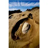 Joyau de Point Lobos, Californie, USA, Série by Lucien Clergue, Tirage Ilfochrome par Roland Dufau, 1999, sold Apr 2020