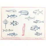 The Fish and the Suit by Mark Dion, 2020, Crayon rouge et bleu sur papier, sold Apr 2020