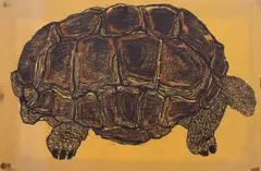 Untitled by Millicent Krouse, woodcut "Tortoise", sold Jun 2023