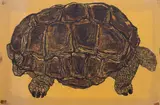 Untitled by Millicent Krouse, woodcut "Tortoise", sold Jun 2023