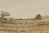 Landscape in South West Africa by Adolf Stephan Friedrich Jentsch, watercolour on paper, sold Oct 2022