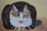 The Mouser by Sue Zaccarini, pastel, offered Jul 2023