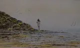 A tranquil beachscape depicting a paddling by G. Rushton, watercolour, sold Jun 2023