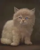Smokey' portrait of a Persian Kitten by David N Johnson, oil on canvas, sold May 2023