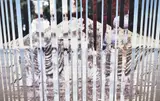 A group of four experimental multi-panelled photographic by Robert Richfield, photograph, offered May 2023