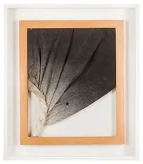 Untitled by John Latham, 1994, oil, offered Jun 2025