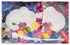 Untitled by Marc Quinn, acrylic and wash, offered Jun 2025