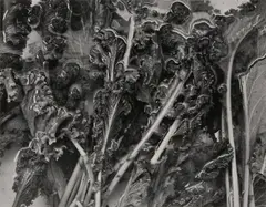 Untitled by Herb Quick, Silver gelatin print, printed later, flush-mounted to card, image size, offered May 2025