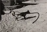 Untitled by Larry Towell, Silver gelatin print, printed, offered May 2025