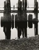 Untitled by Wynn Bullock, print, offered May 2025