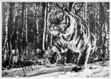 Cold Mountain by David Yarrow, print, sold Oct 2024
