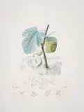 Homme Figuier by Salvador Dalí, Drypoint with lithograph printed in colours with embossing, sold Oct 2024