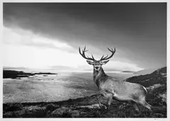 Over the Sea to Skye by David Yarrow, print, sold Oct 2024