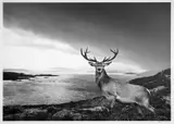 Over the Sea to Skye by David Yarrow, print, sold Oct 2024