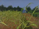 Maize field, ibiza by William Brooker, 1953, Oil on canvas, sold Oct 2024