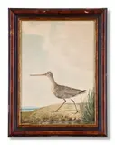 Birds in the devon and cornish environs by William Elford, Watercolour Each, sold Oct 2024