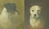 Study of a fox terrier and a rough coated terrieroils on canvasone by Savile Lumbley Flint, 1895, oil, sold Dec 2024
