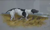 Study of an English pointer by John Charles Tunnard, gouache and mixed, sold Dec 2024