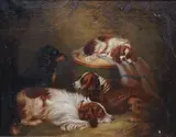 Study of four spaniels in an interior by George Smythe, oil on canvas, sold Dec 2024