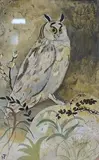 Study of an owl by Gwyneth Johnstone, watercolour, sold Nov 2024