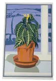 Still life of a plant on a window ledge by Alan Salisbury, screenprint, sold May 2025