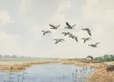 Flock over marshland by John Shepperd, watercolour, offered Oct 2025