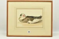 Dead mallard by Edward Davis, watercolour on paper, offered May 2023