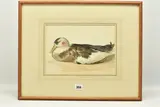 Dead mallard by Edward Davis, watercolour on paper, offered May 2023