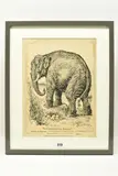 The champion of the smaller nations - the imperial pachyderm by John Bernard Partridge, ink on paper, sold Apr 2023
