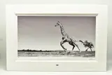Dance by Anup Shah, print, sold Mar 2023