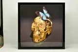 Butterfly kiss by Rory Hancock, print, sold Mar 2023