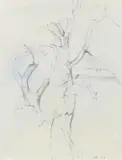 A Tree Seen Through a Window at Voss by Adrian Heath, Pencil and blue wash, sold Dec 2022