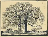 Kremetartboom Signed and dated J by Jacobus Hendrik Pierneef, Linocut, sold Dec 2022